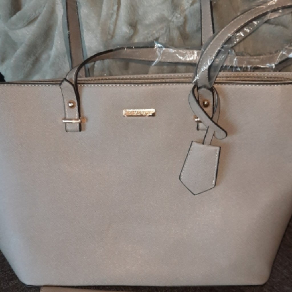 Elim  Paul Shimmer Purse 292